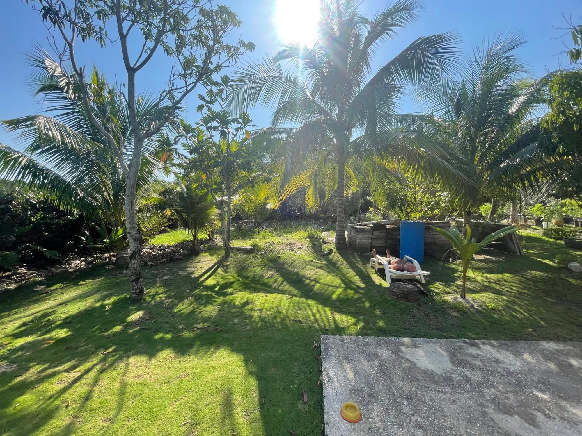 R&V Villa Negril Extérieur photo